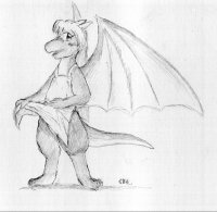 bd_005_s.jpg